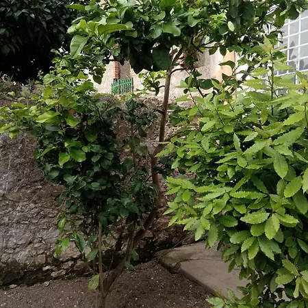 Casa Del Duca *
